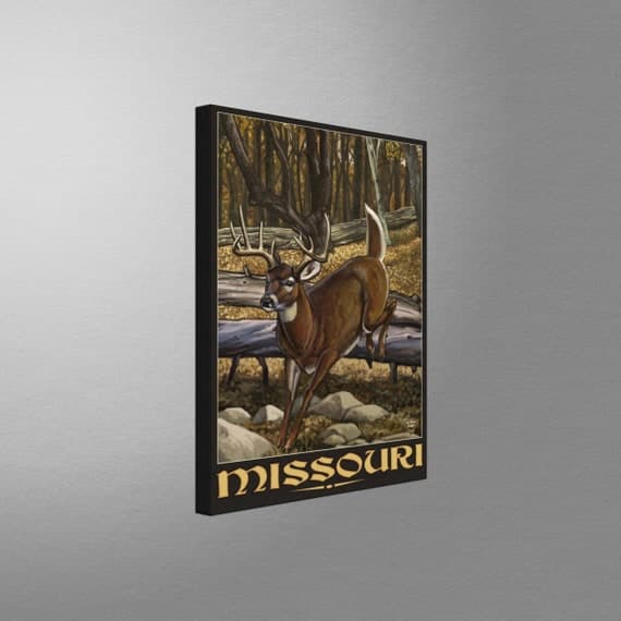 Missouri Stretch Canvas Art Print and Soft Accessories