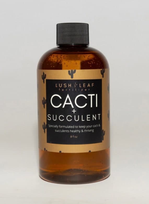 Cacti and Succulent Plant Food and Fertilizer Concentrate for All Cactus, succulent and aloe Vera Varieties