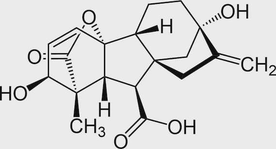 Gibberellinsäure GA3 90+% – Keimhilfe / Pflanzenwachstumsregulator