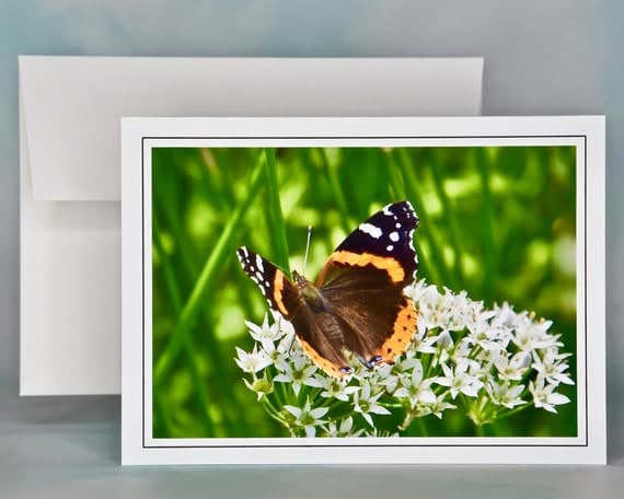Red Admiral Butterfly note card with envelope